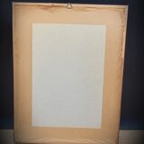 Lithograph rose one hundred leaf cristata