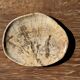 Small beige oval petrified wood dish or tray with crystals.