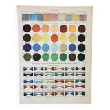 Old engraving 1898, Colors 1, multicolored, gradient • Lithograph, Original plate