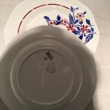 Set of 5 plates the amandinoise