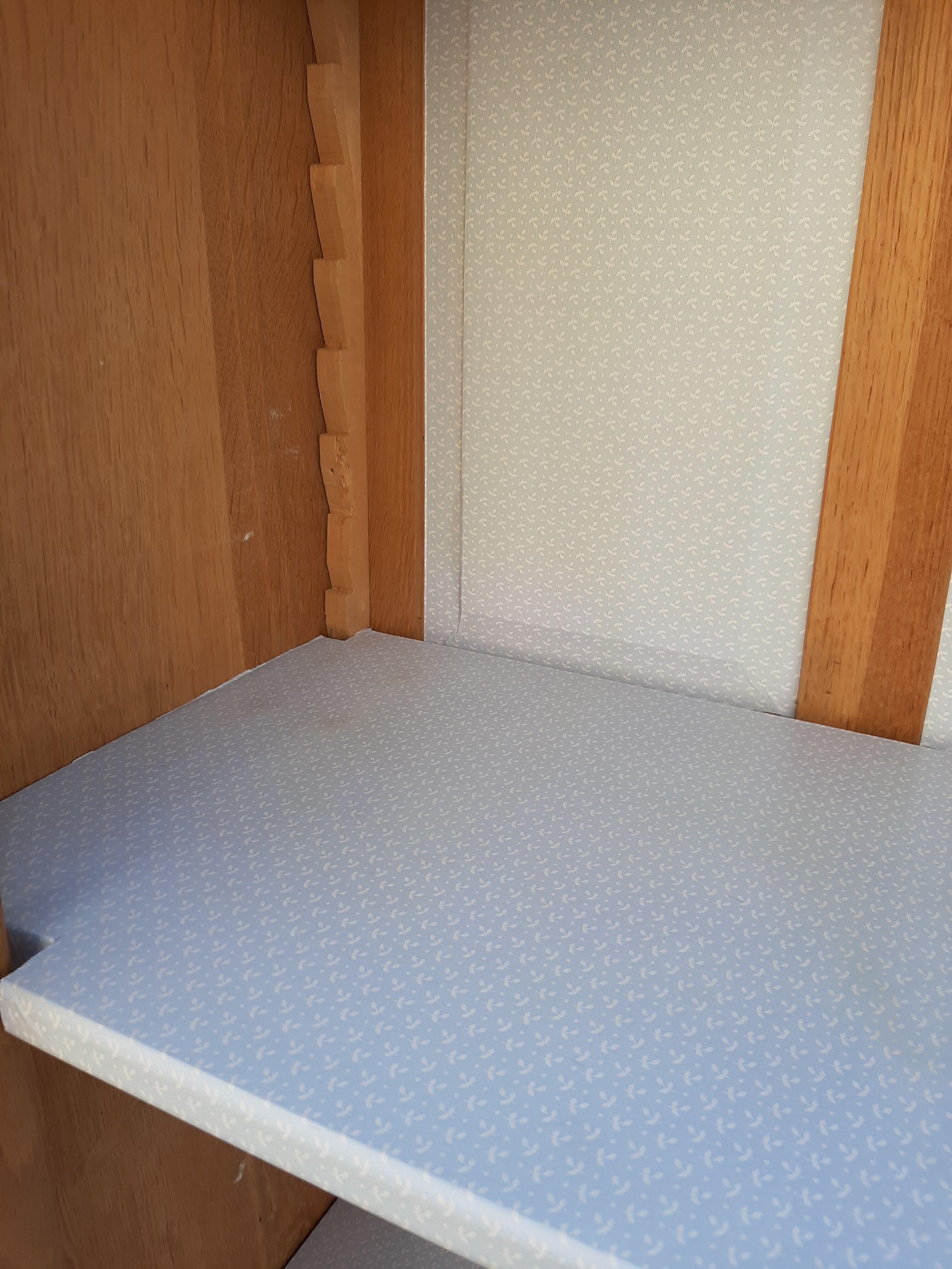 Ancient parisian oak library