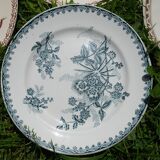 Set of 7 different iron earth plates