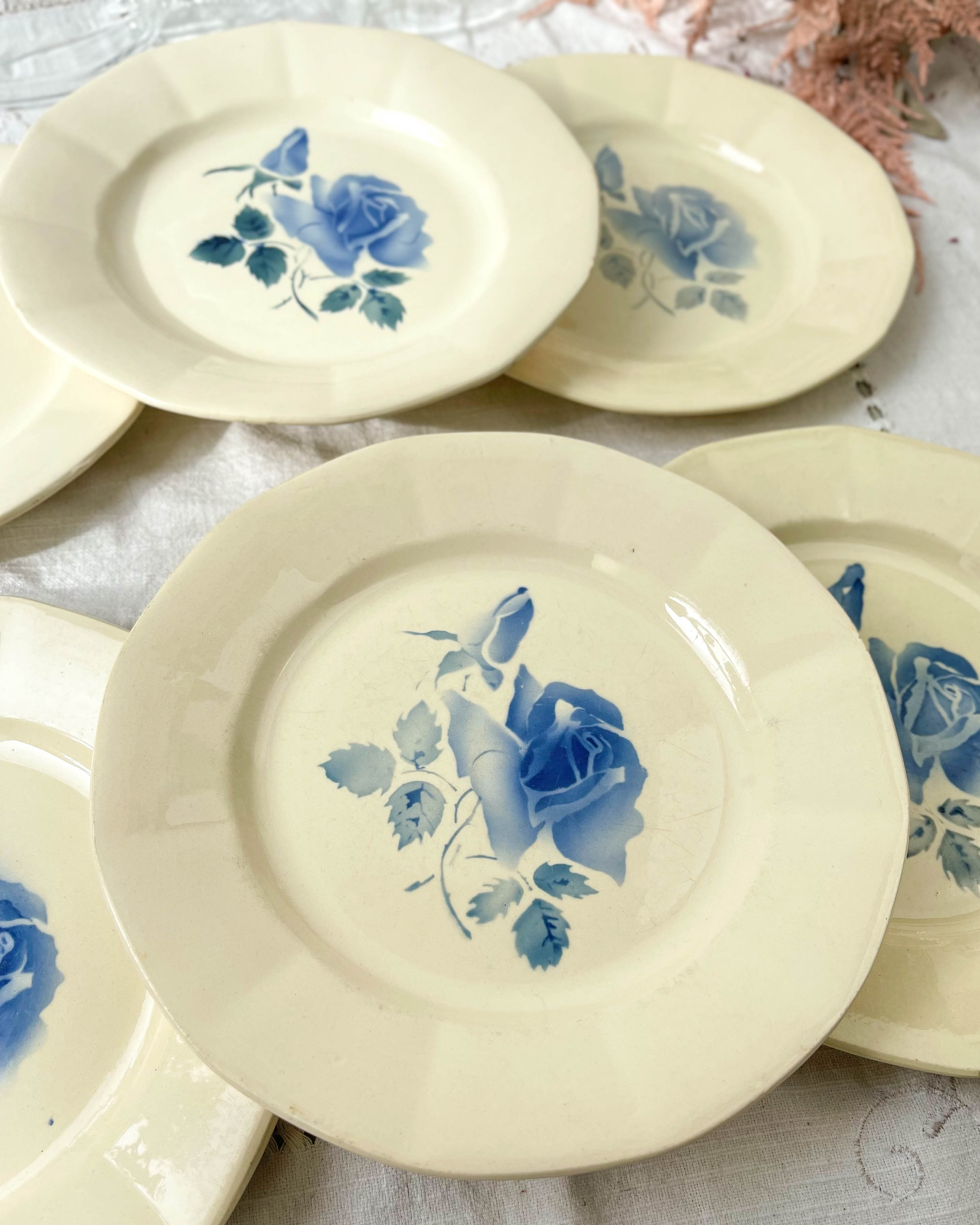 6 flat plates digoin sarreguemines model "cannes"