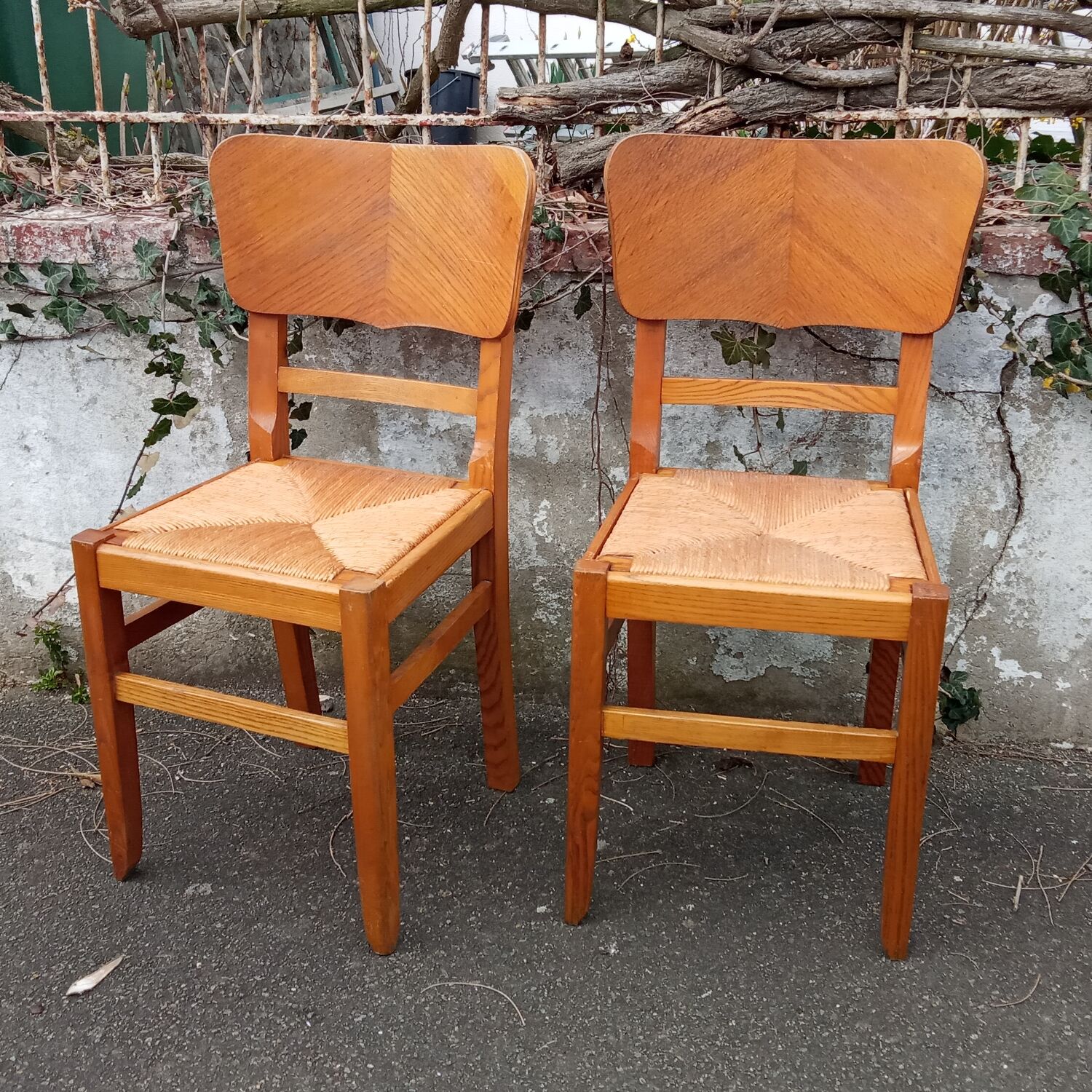 Paire de chaises paillées années 50