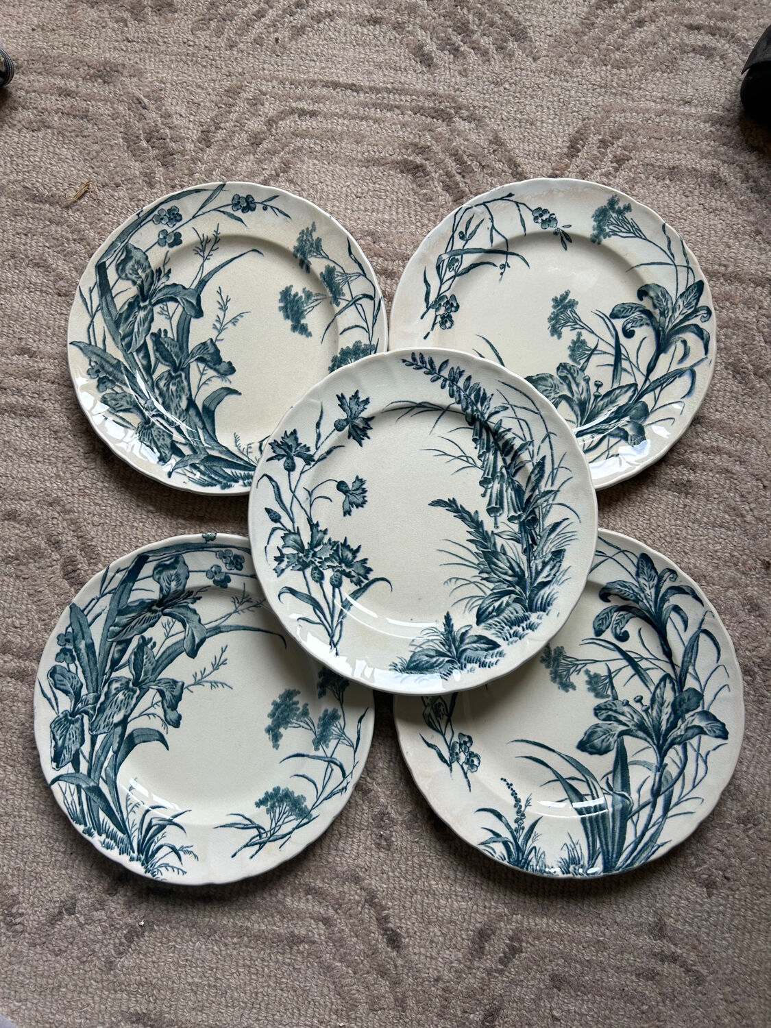 Set of 5 dessert plates Terre de fer Jules Vieillard