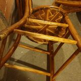 2 seventies palm tree chairs