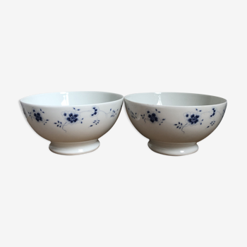 Pair of porcelain bowls