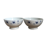 Pair of porcelain bowls