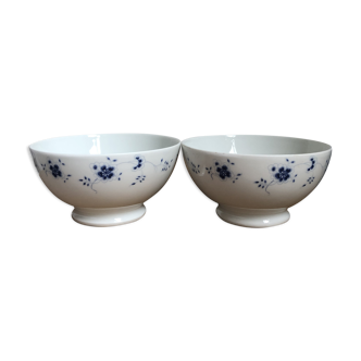 Pair of porcelain bowls