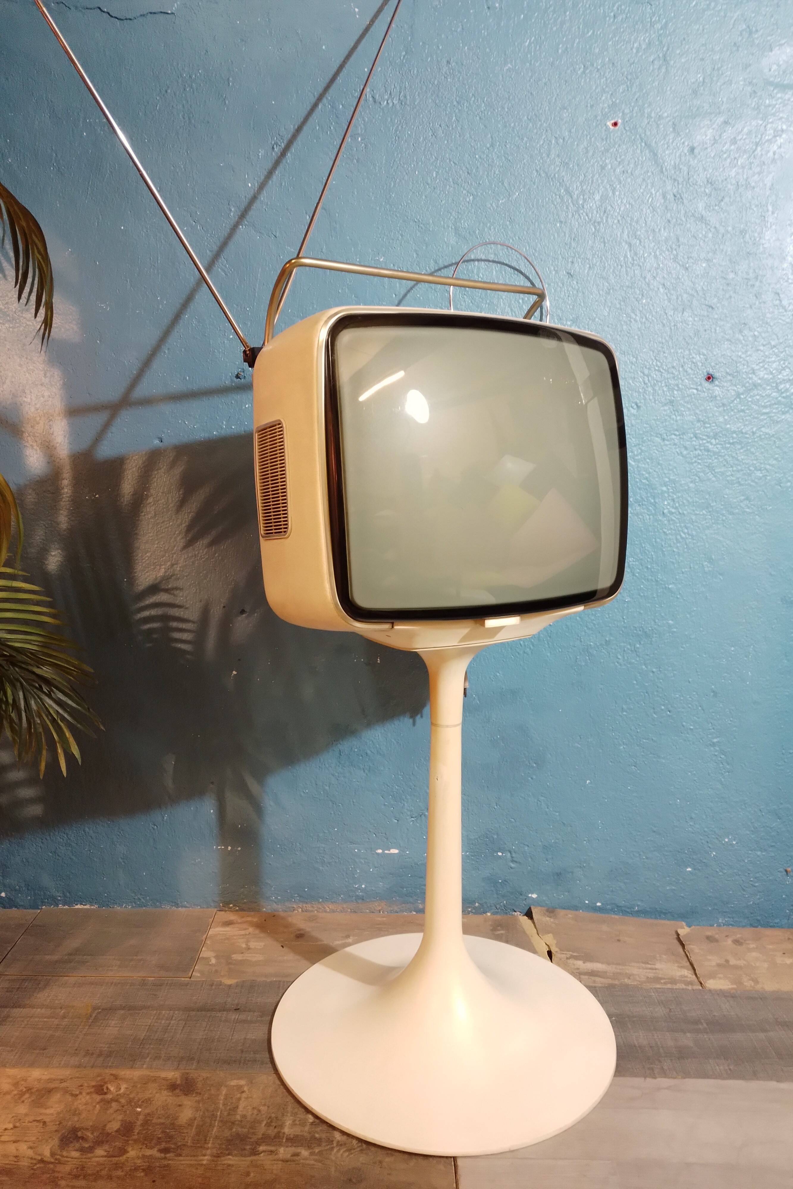 Ribet Desjardins television 1970s