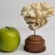 Antique natural coral mounted on turned wooden base, 17 cm