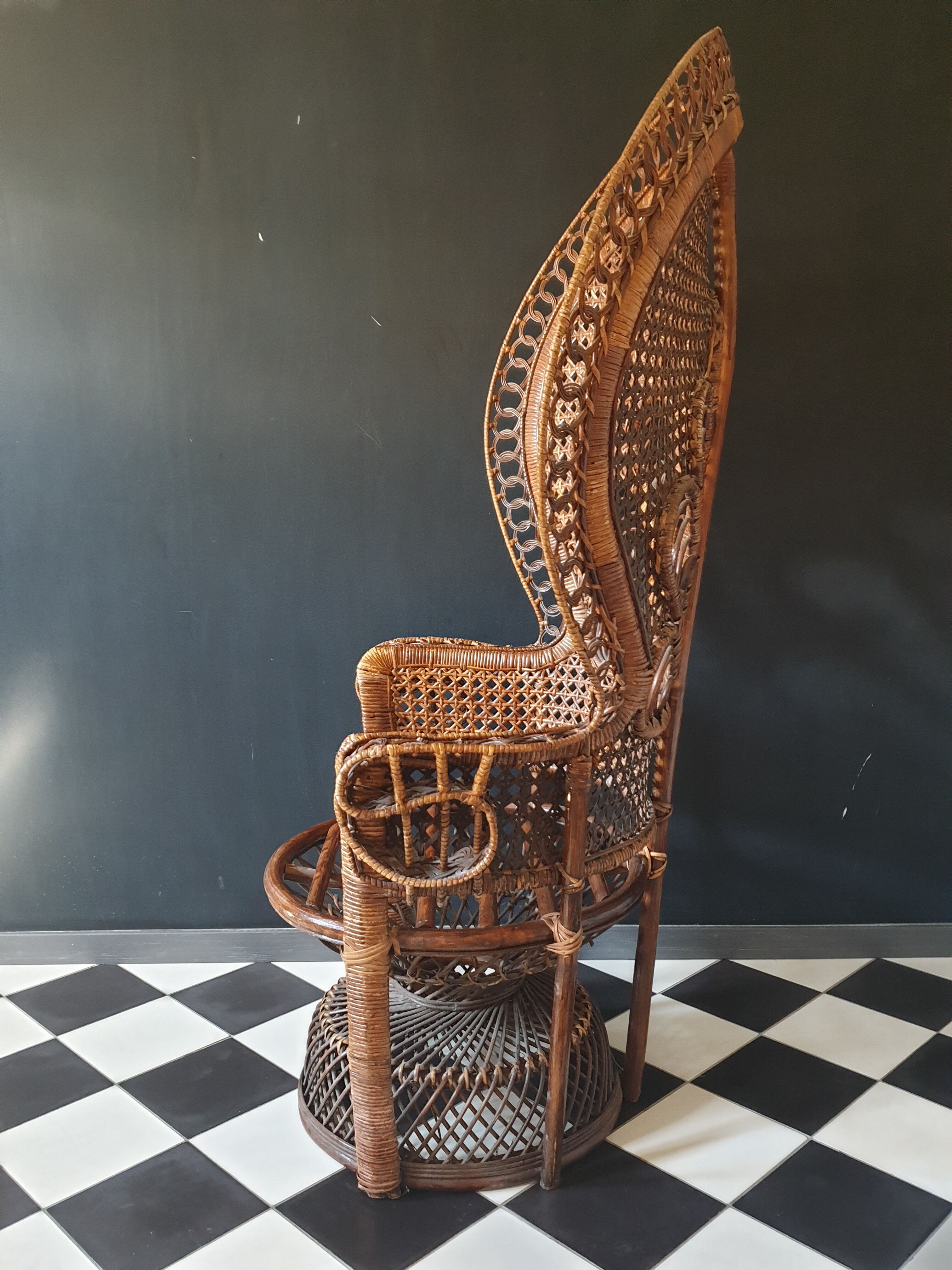 Emmanuelle peacock chair