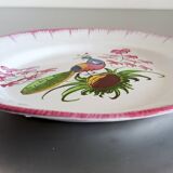 Rare assiette Les islettes en faïence à décor d'un paon. XIXème siècle.