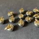 Miniature Italian Apple Name Tags