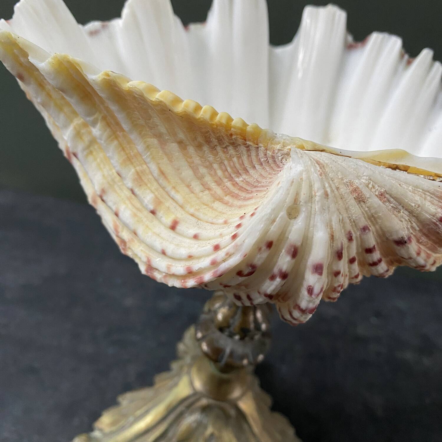 Holy water stoup shell on base