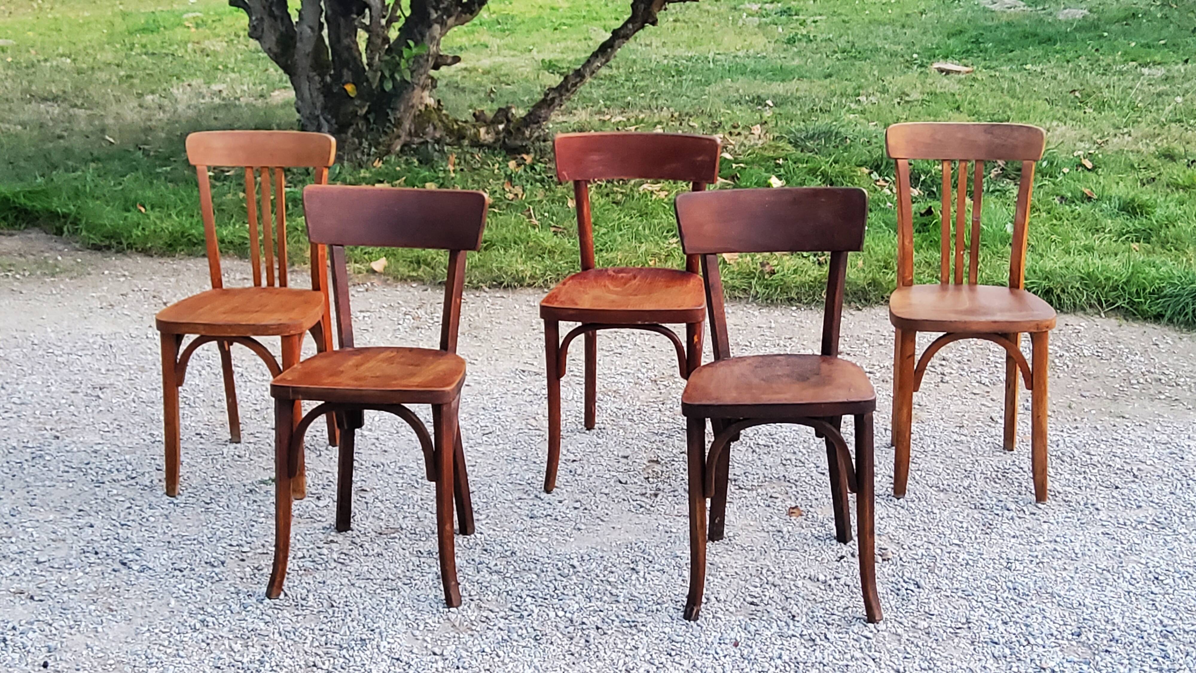 Set of 5 Stella Thonet bistro chairs from the 1950s