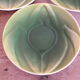 3 purple cups, porcelain flowers Geneviève Lethu
