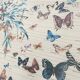 TABLEAU Display BUTTERFLY Italy