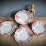 Quartet plates Campanula