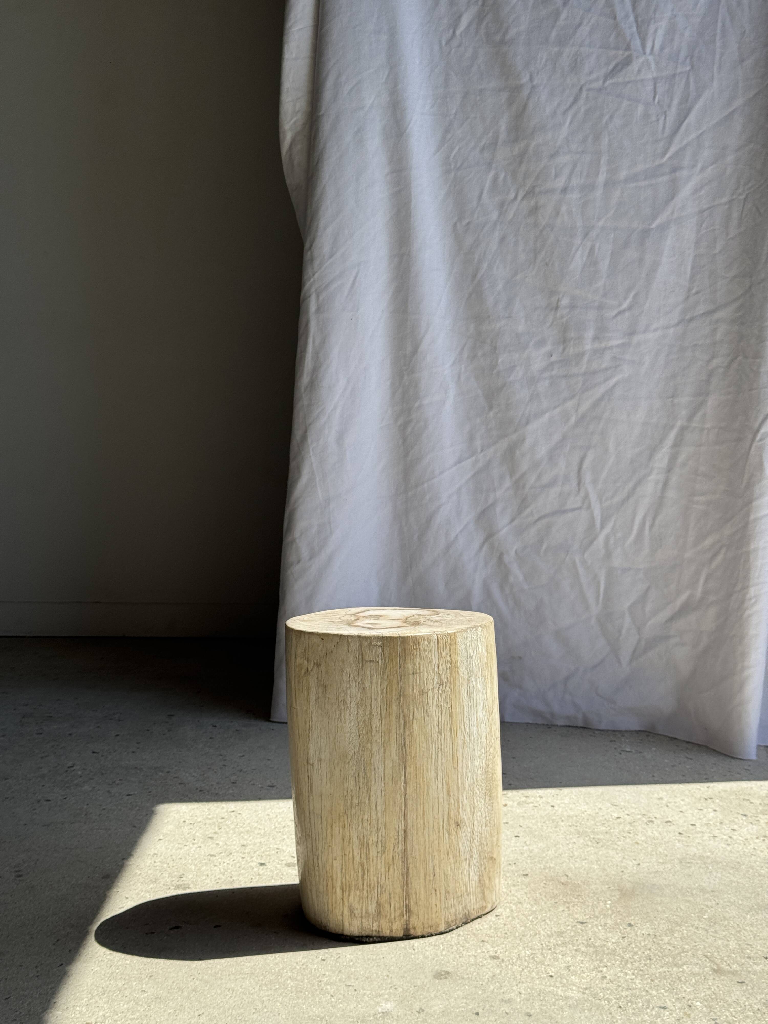 White oval petrified wood side table H38 D28 - 3335