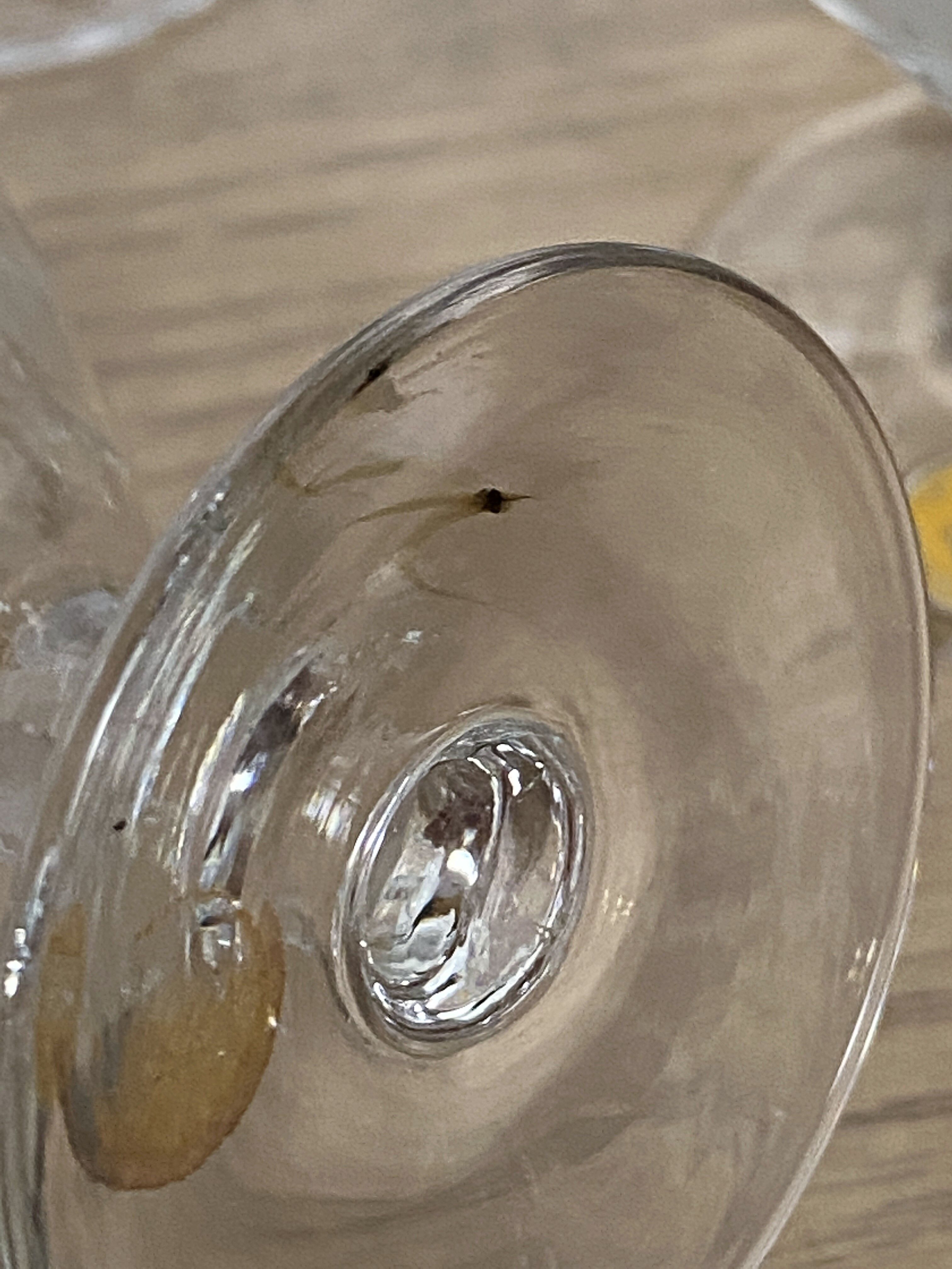 Set of 6 engraved wine glasses