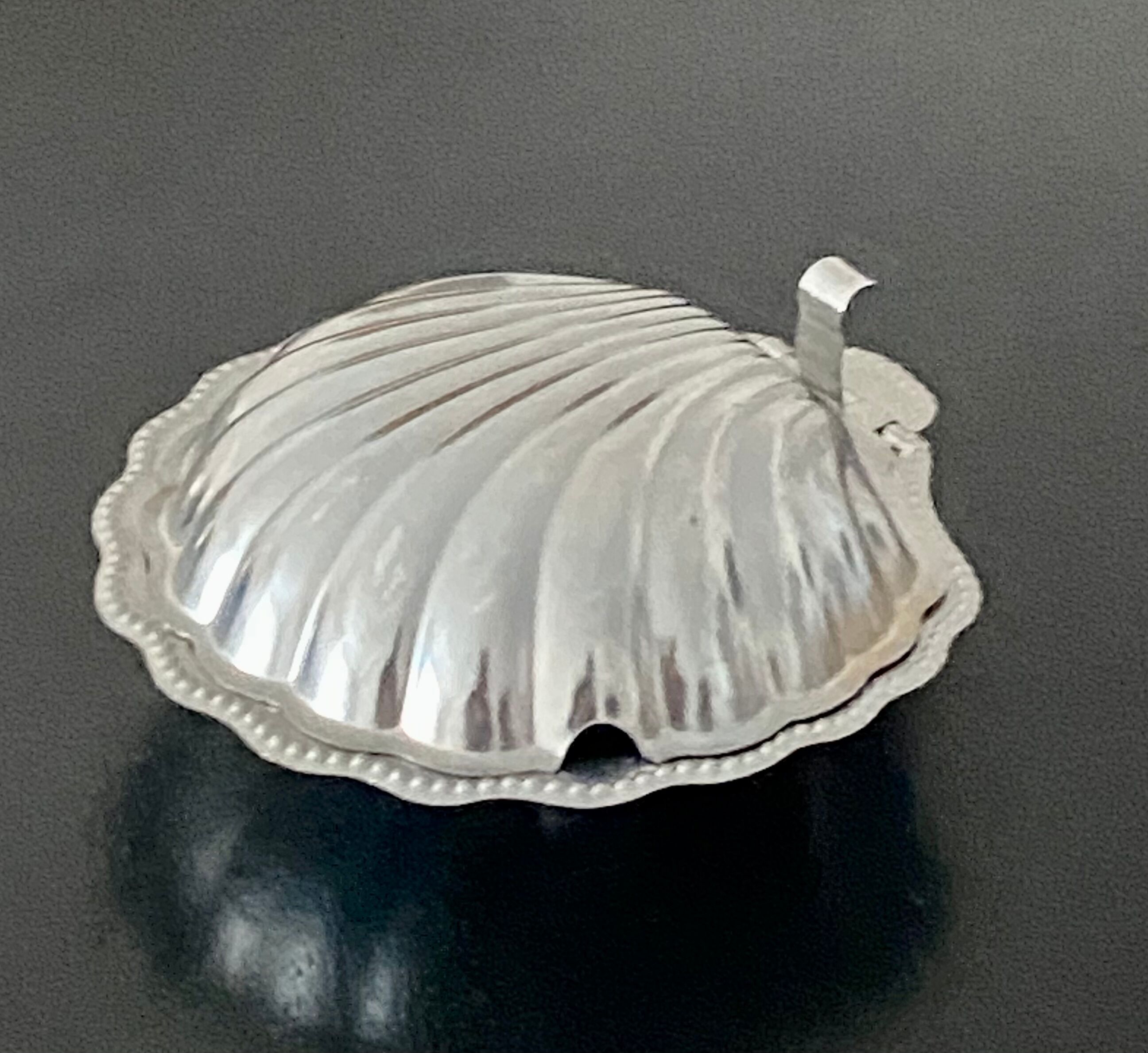 Stainless steel shell butter dish