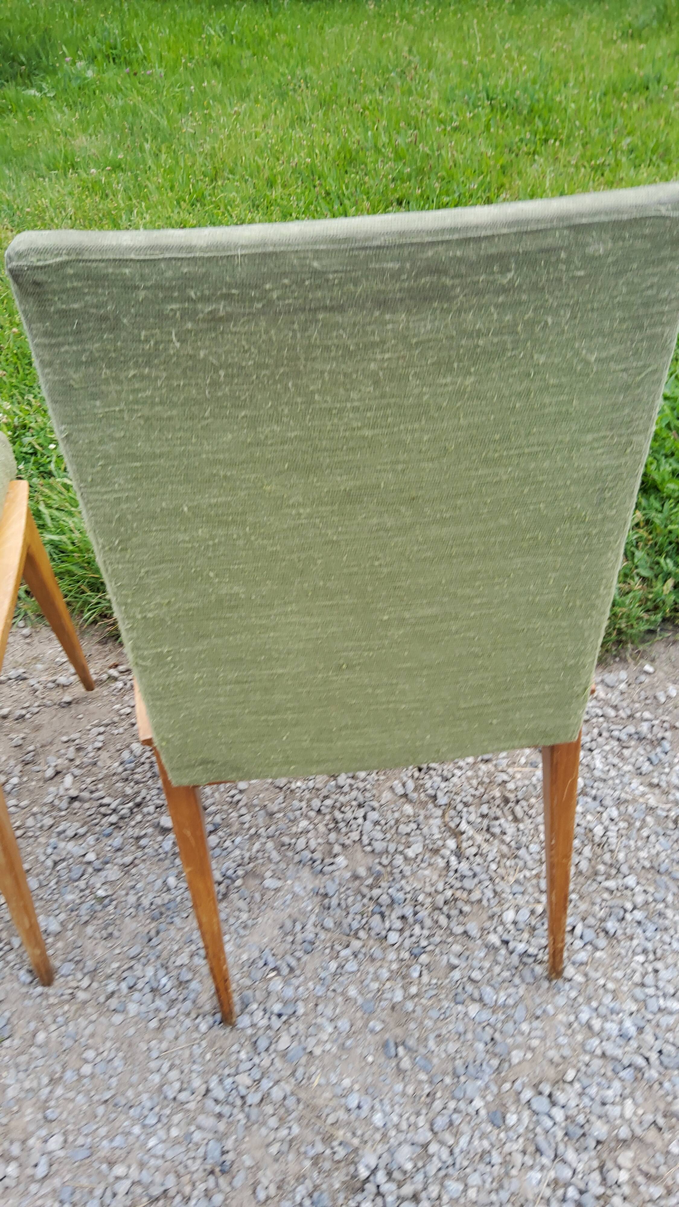 Pair of chairs from the 50s in sycamore tinted beech