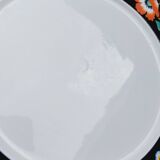 Xenia plate