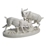 Saxon porcelain group, two fighting goats, signed Röhle, 1900