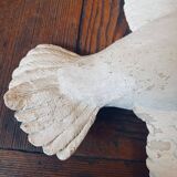 Old seagull to hang