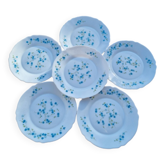 6 grande assiette plate vintage arcopal modele veronica decor myosotis