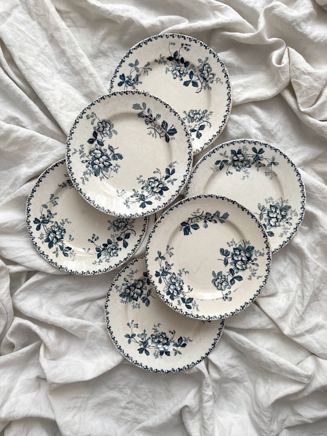 6 assiettes plates en terre de fer « Acacia » Moulin des Loups et Hamage