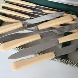 12 dessert knives in a case
