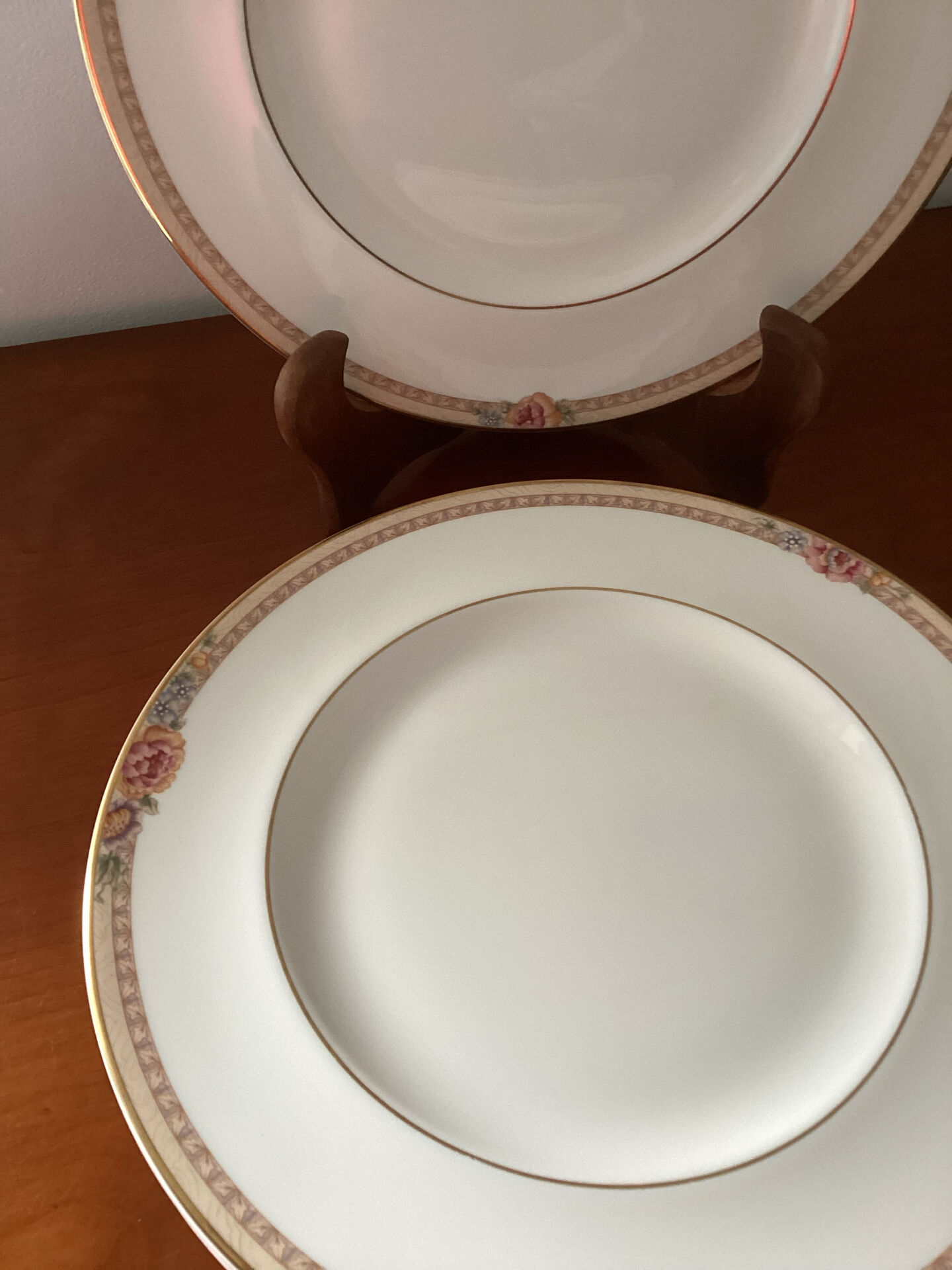 Large fine porcelain plates Royal Doulton Darjeeling