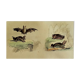 Original ornithological plate "Bat - Long-eared bat - &c..." Buffon 1836
