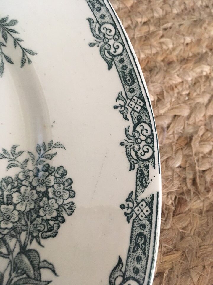 Flat plates "Daisy" Saint Amand