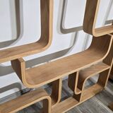 Room Dividers by Ludvik Volak for Drevopodnik Holesov, 1950s, Set of 2