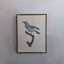 Planche ornithologique