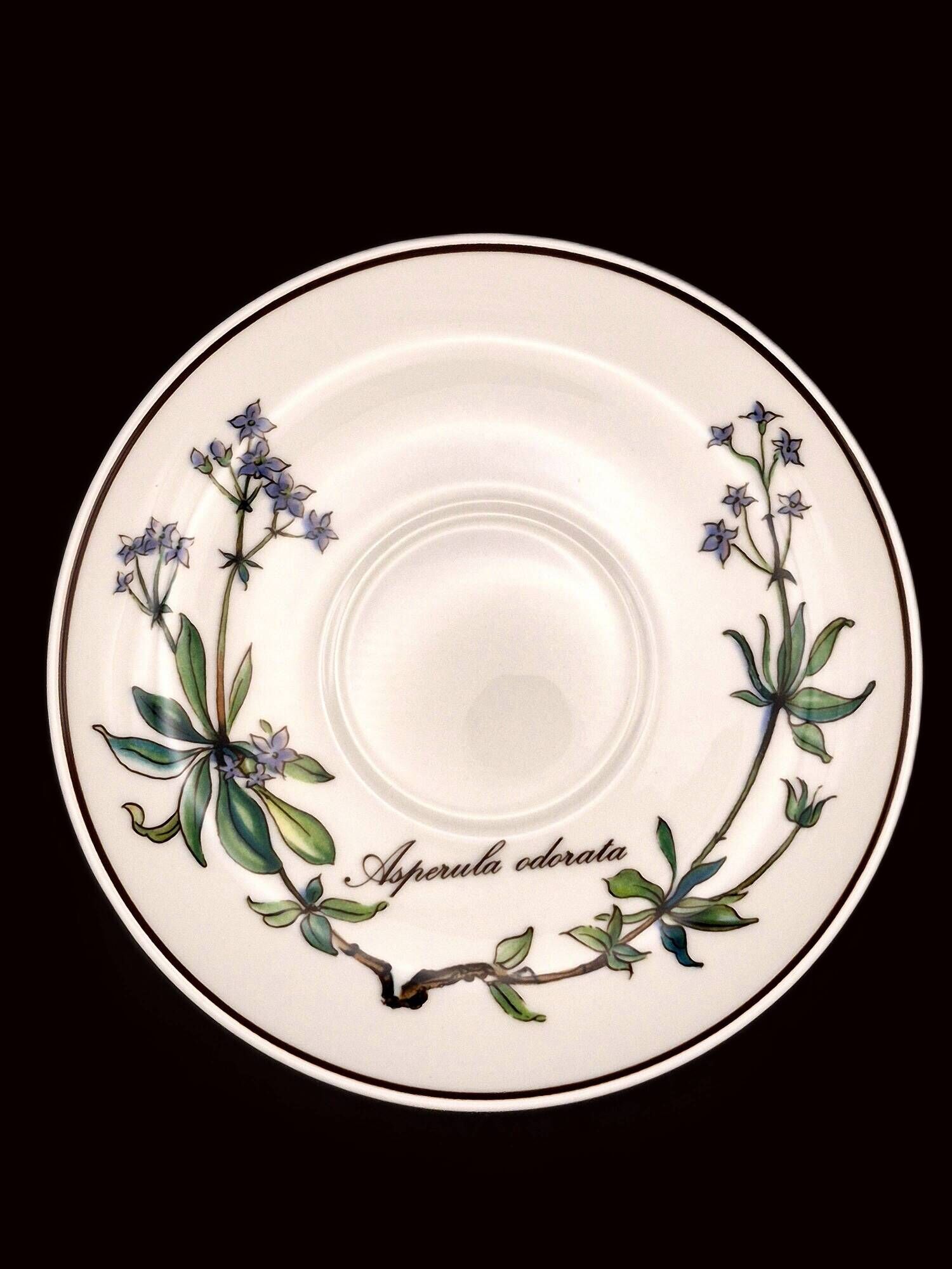 Set of 6 coffee cups and saucers Villeroy & Boch, vintage, Botanica