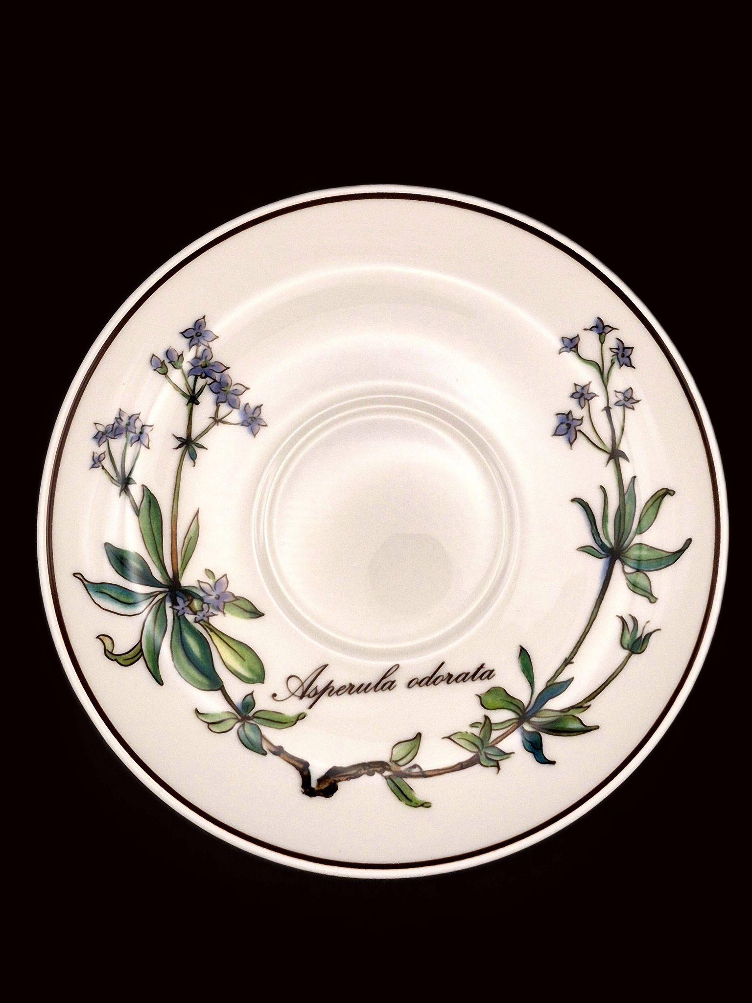 Set of 6 coffee cups and saucers Villeroy & Boch, vintage, Botanica