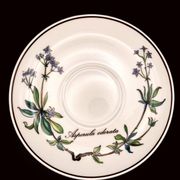 Set of 6 coffee cups and saucers Villeroy & Boch, vintage, Botanica