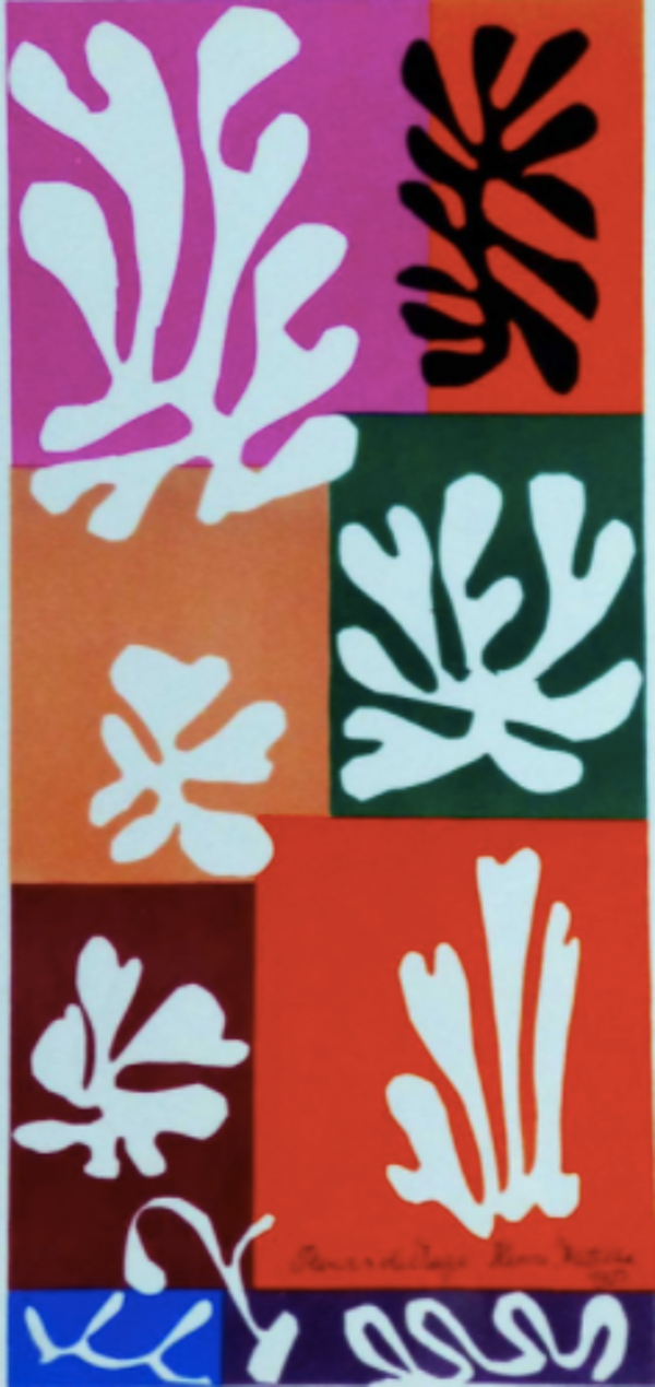 Lithographie Henri Matisse Fleurs de neige 1958
