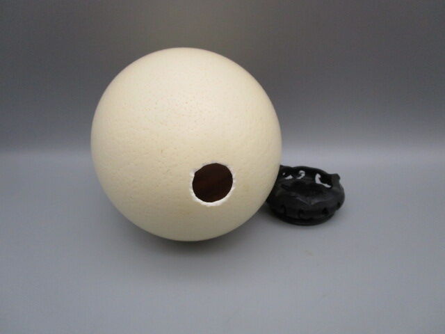Ostrich egg on pedestal