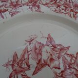 4 assiettes anciennes faience Lonchamps a fleurs - Liserons - Terre de fer