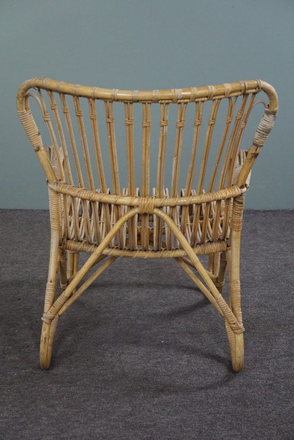 Fauteuil Belse 8 en rotin, design hollandais, 1950