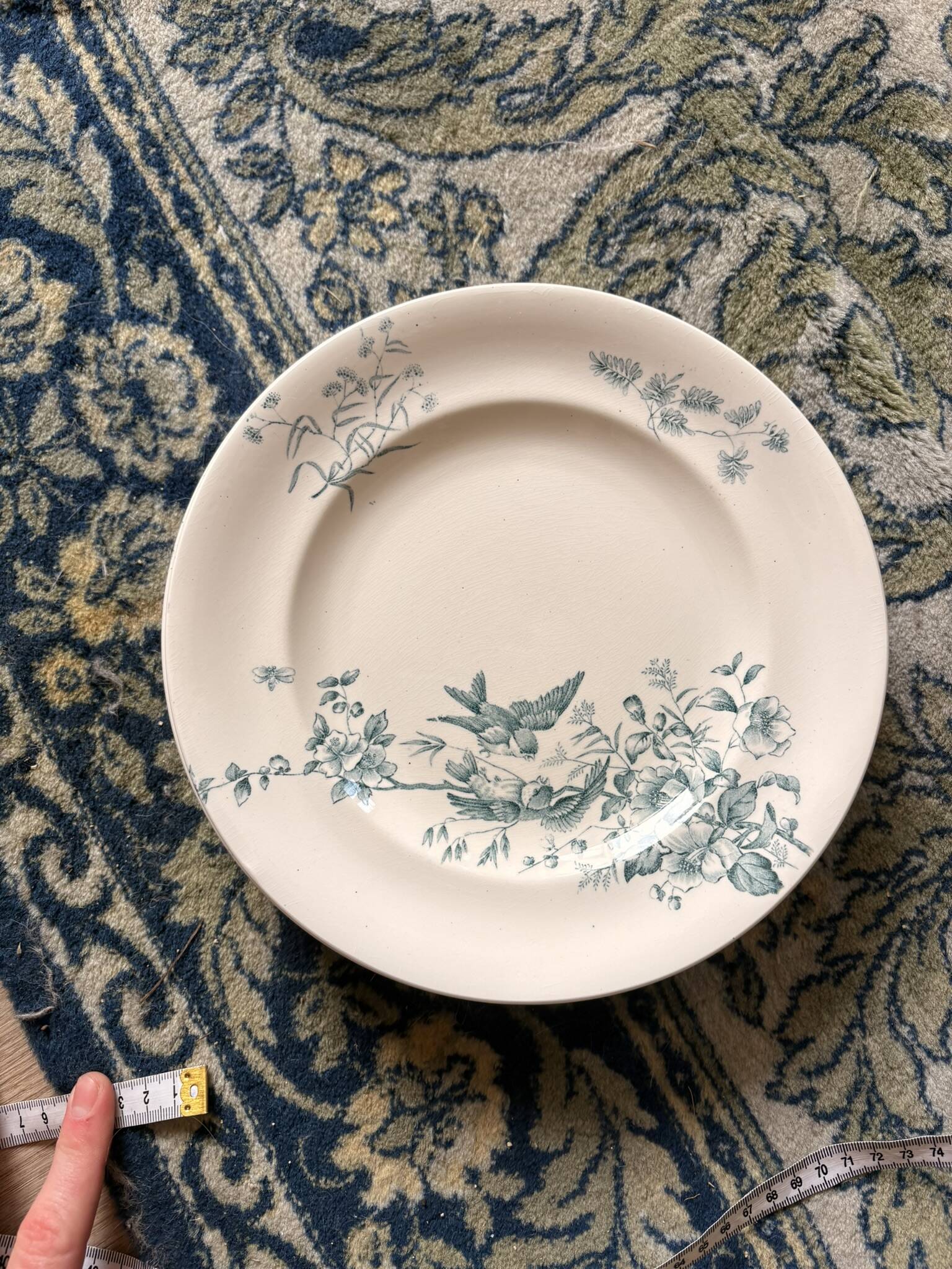 Lot 6 Plate Plates Faience Longwy Model Mignon