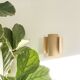 Applique TILE rousse
