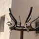 vintage parrot coat rack