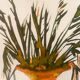 Tableau signé, nature morte « jarre provençale ornée de plantes »