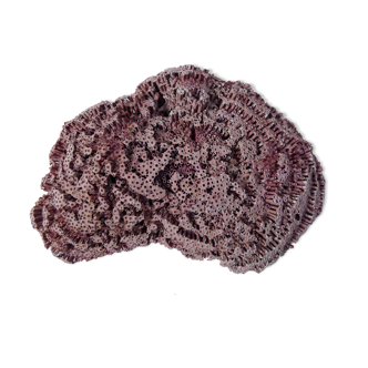 Ancien morceau de corail rose naturel 392g